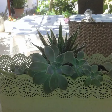 Marija Daire Supetar